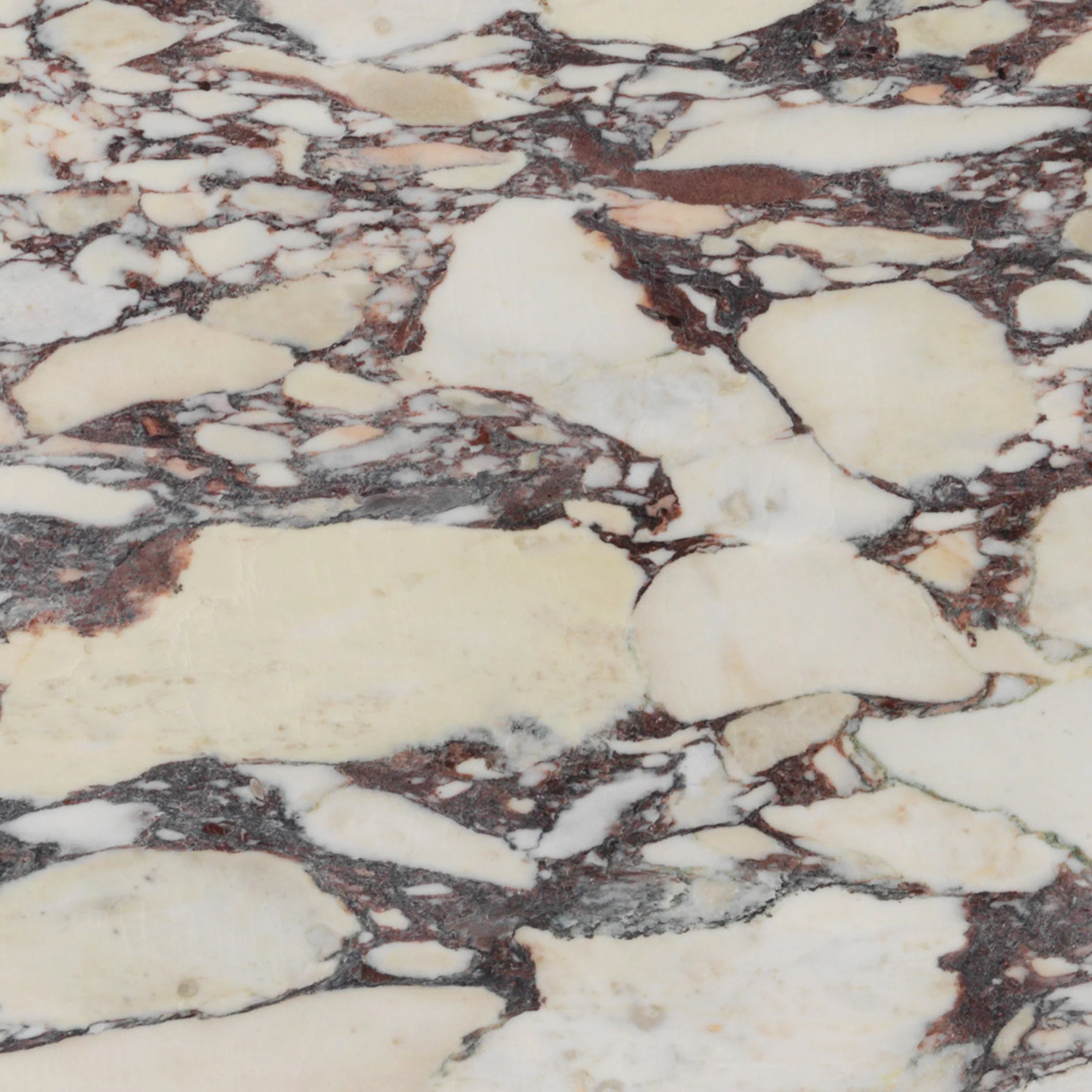 Calacatta Viola marble with burgundy veining