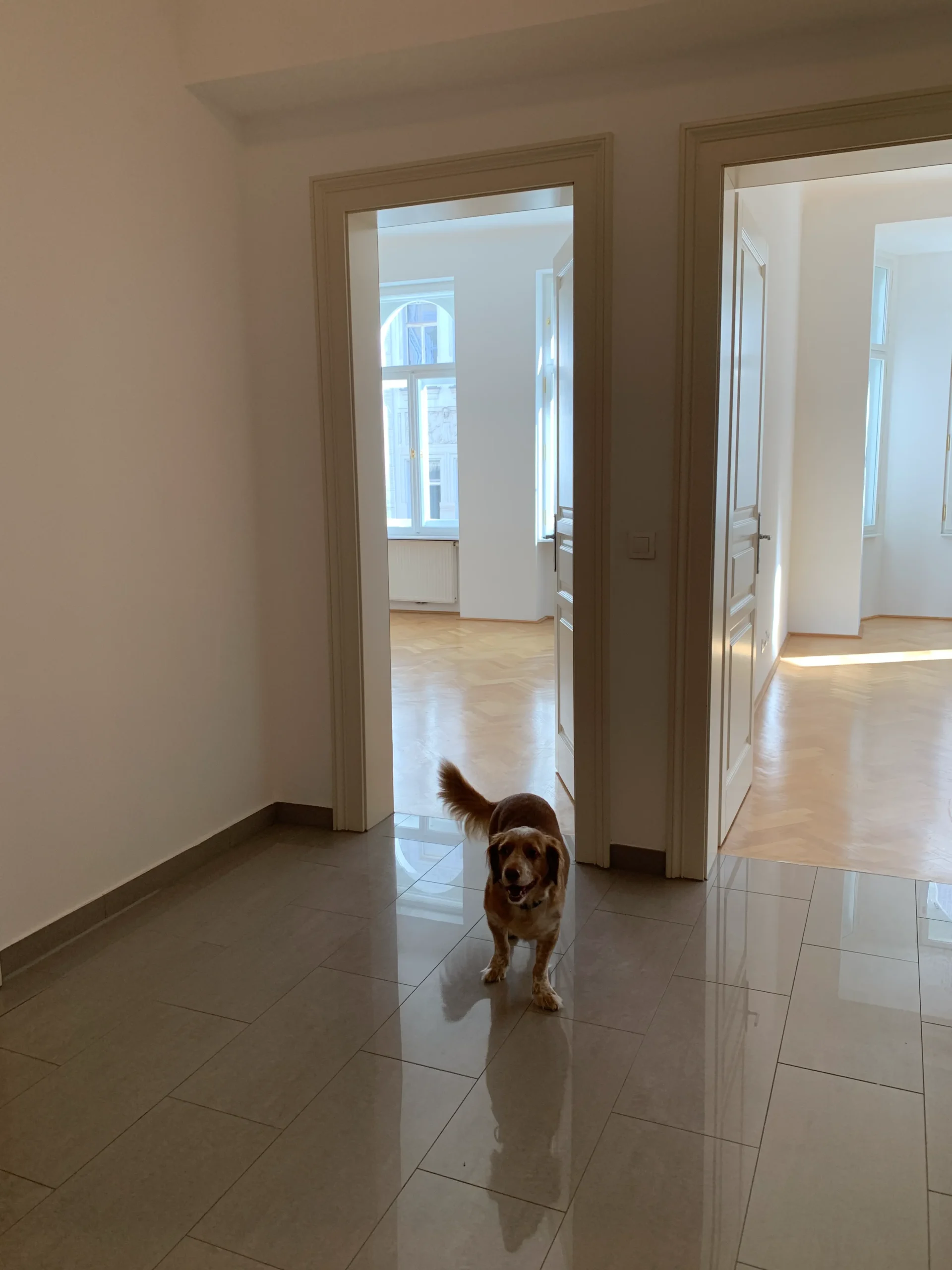 Before: empty hallway with marble-look tiles opening into two bright rooms, a small dog in the doorway