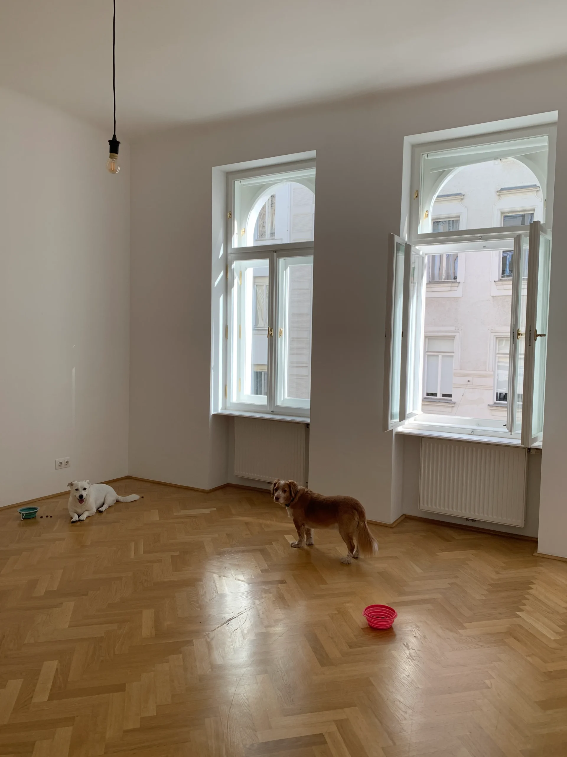 Before: empty living room with herringbone parquet and two tall arched windows